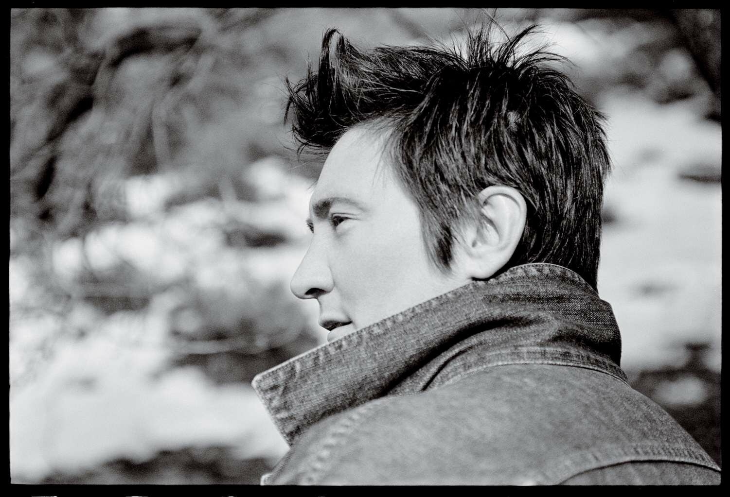 k.d. lang