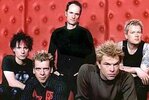 Die-toten-hosen_thumb
